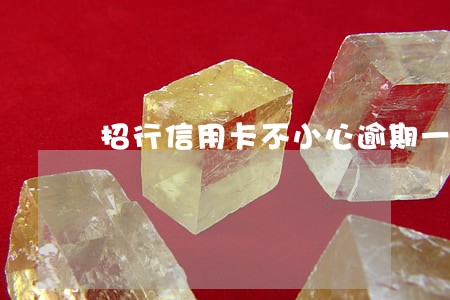 招行信用卡不小心逾期一次