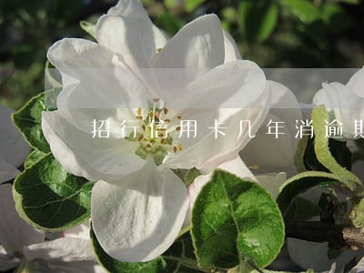招行信用卡几年消逾期