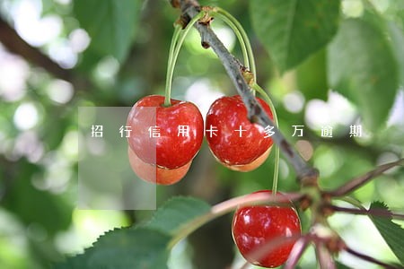 招行信用卡十多万逾期 招行信用卡十多万逾期