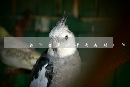招行信用卡卡费逾期2年 招行信用卡卡费逾期2年