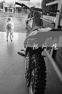 招行信用卡取现还款有逾期吗 招行信用卡取现还款有逾期吗