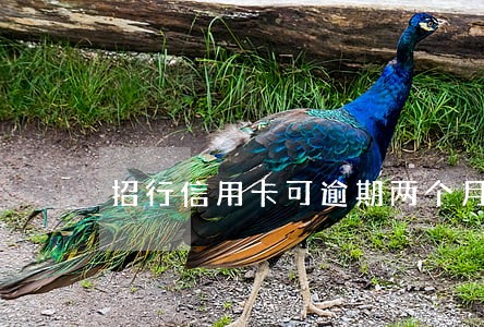 招行信用卡可逾期两个月 招行信用卡可逾期两个月