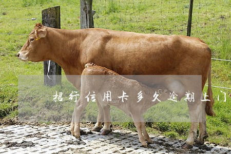 招行信用卡多久逾期上门 招行信用卡多久逾期上门