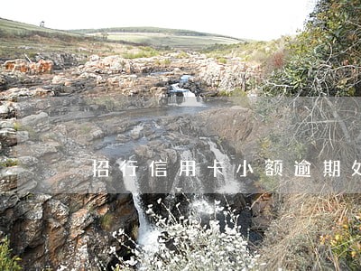 招行信用卡小额逾期处理方案民生 招行信用卡小额逾期处理方案民生