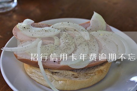 招行信用卡年费逾期不忘还