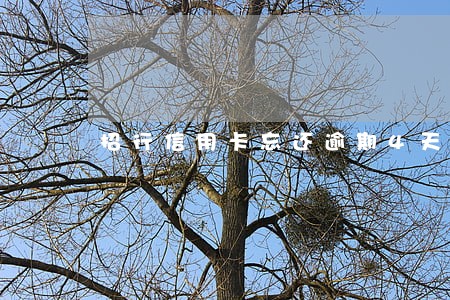 招行信用卡忘还逾期4天 招行信用卡忘还逾期4天