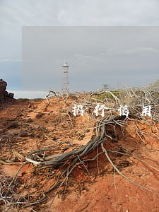 招行信用卡怎么查是否逾期过