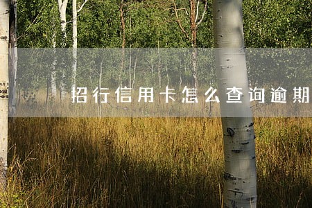 招行信用卡怎么查询逾期 招行信用卡怎么查询逾期