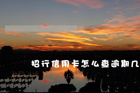 招行信用卡怎么查逾期几个月了 招行信用卡怎么查逾期几个月了