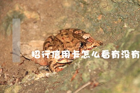 招行信用卡怎么看有没有逾期 招行信用卡怎么看有没有逾期