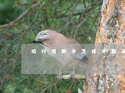 招行信用卡怎样才算逾期 招行信用卡怎样才算逾期