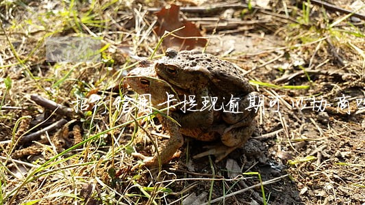 招行信用卡提现逾期可以协商吗 招行信用卡提现逾期可以协商吗