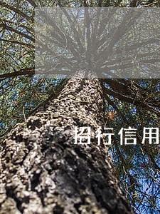 招行信用卡无逾期被停卡有额度 招行信用卡无逾期被停卡有额度