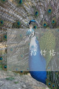 招行信用卡晚还几天算逾期 招行信用卡晚还几天算逾期