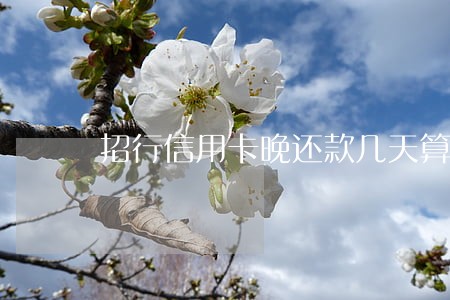 招行信用卡晚还款几天算逾期 招行信用卡晚还款几天算逾期