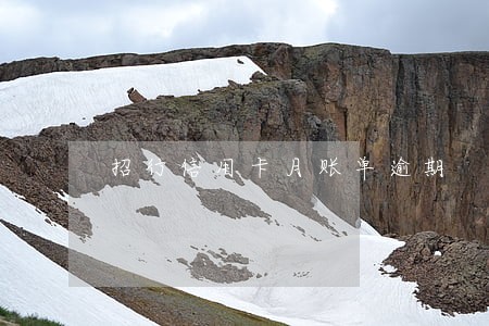 招行信用卡月账单逾期 招行信用卡月账单逾期