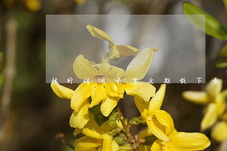 招行信用卡有逾期能下卡吗