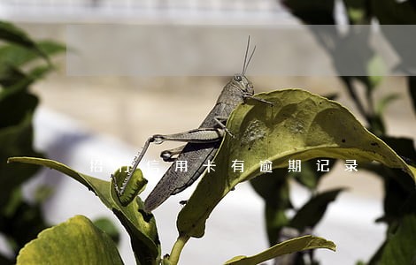 招行信用卡有逾期记录 招行信用卡有逾期记录