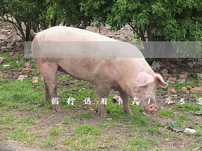 招行信用卡欠1万5逾期三年 招行信用卡欠1万5逾期三年