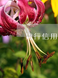 招行信用卡欠两万逾期了怎么办 招行信用卡欠两万逾期了怎么办