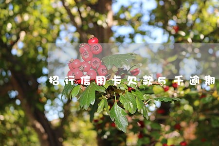 招行信用卡欠款5千逾期