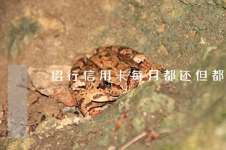 招行信用卡每月都还但都逾期