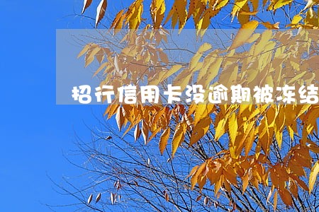 招行信用卡没逾期被冻结了 招行信用卡没逾期被冻结了