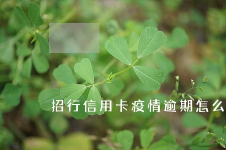 招行信用卡疫情逾期怎么办 招行信用卡疫情逾期怎么办