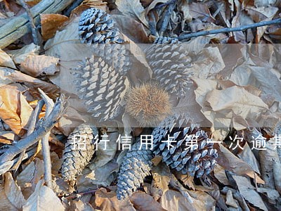 招行信用卡第一次逾期