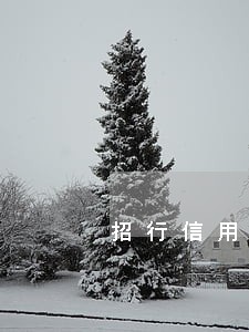 招行信用卡纯费用逾期有没有利息 招行信用卡纯费用逾期有没有利息