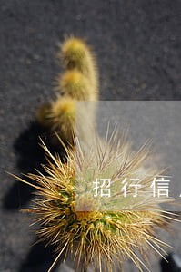 招行信用卡解释逾期还款