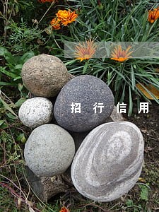 招行信用卡计算逾期 招行信用卡计算逾期