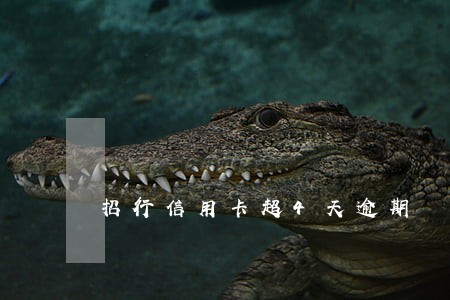 招行信用卡超4天逾期 招行信用卡超4天逾期