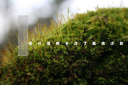 招行信用卡还了最低还款算逾期吗 招行信用卡还了最低还款算逾期吗