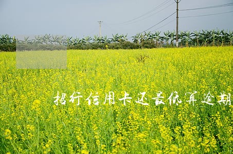 招行信用卡还最低算逾期吗 招行信用卡还最低算逾期吗