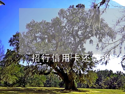招行信用卡还款晚一天就逾期 招行信用卡还款晚一天就逾期