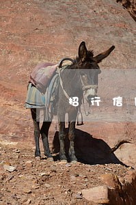 招行信用卡还款逾期利息怎么算 招行信用卡还款逾期利息怎么算