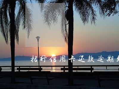 招行信用卡还款逾期处理方案 招行信用卡还款逾期处理方案