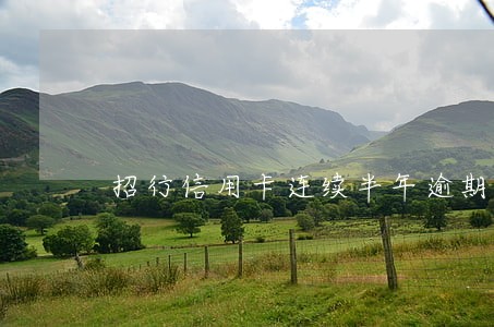 招行信用卡连续半年逾期