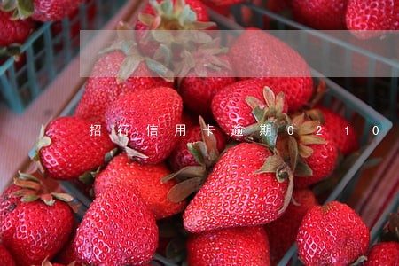 招行信用卡逾期021028 招行信用卡逾期021028