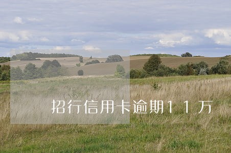 招行信用卡逾期11万