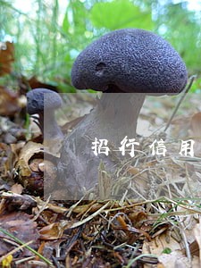 招行信用卡逾期15天会被停卡么 招行信用卡逾期15天会被停卡么