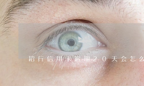 招行信用卡逾期20天会怎么样 招行信用卡逾期20天会怎么样