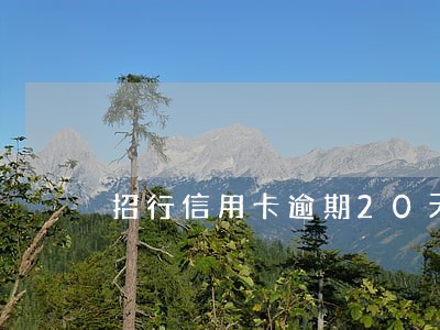招行信用卡逾期20天怎么办
