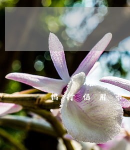 招行信用卡逾期2万半年 招行信用卡逾期2万半年
