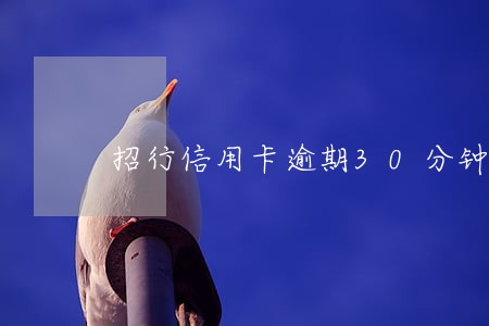 招行信用卡逾期30分钟 招行信用卡逾期30分钟