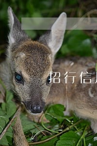 招行信用卡逾期30天内 招行信用卡逾期30天内