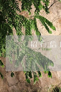 招行信用卡逾期3个月好心烦 招行信用卡逾期3个月好心烦