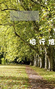 招行信用卡逾期3天了怎么办