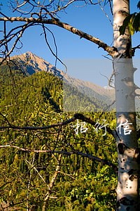 招行信用卡逾期3天算逾期吗 招行信用卡逾期3天算逾期吗